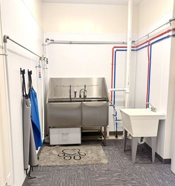 Pet spa